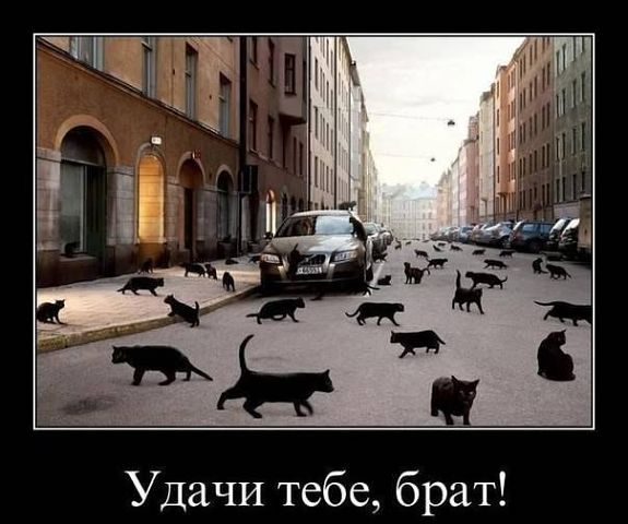 ВНИМАНИЕ!!!!   TelexFREE объявили себя банкротом!!!