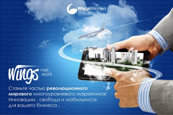 Wings Network взяты под жесткий контроль